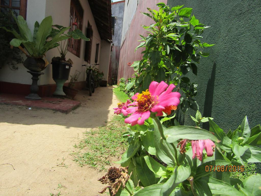 New Sea Lion Guest House Hikkaduwa Esterno foto