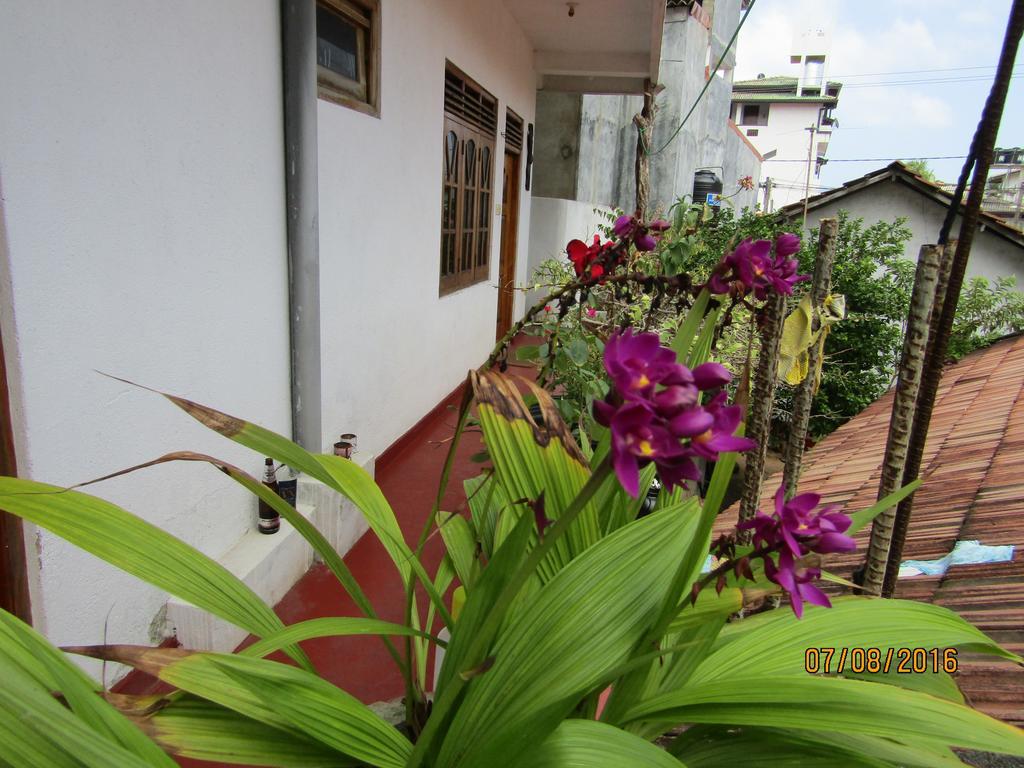 New Sea Lion Guest House Hikkaduwa Esterno foto