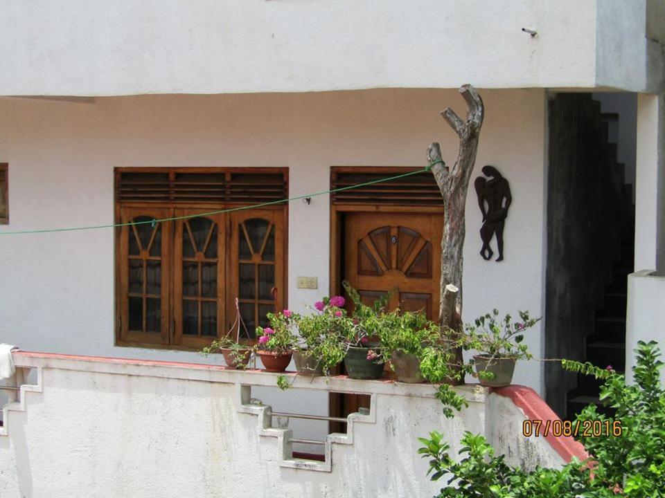 New Sea Lion Guest House Hikkaduwa Esterno foto