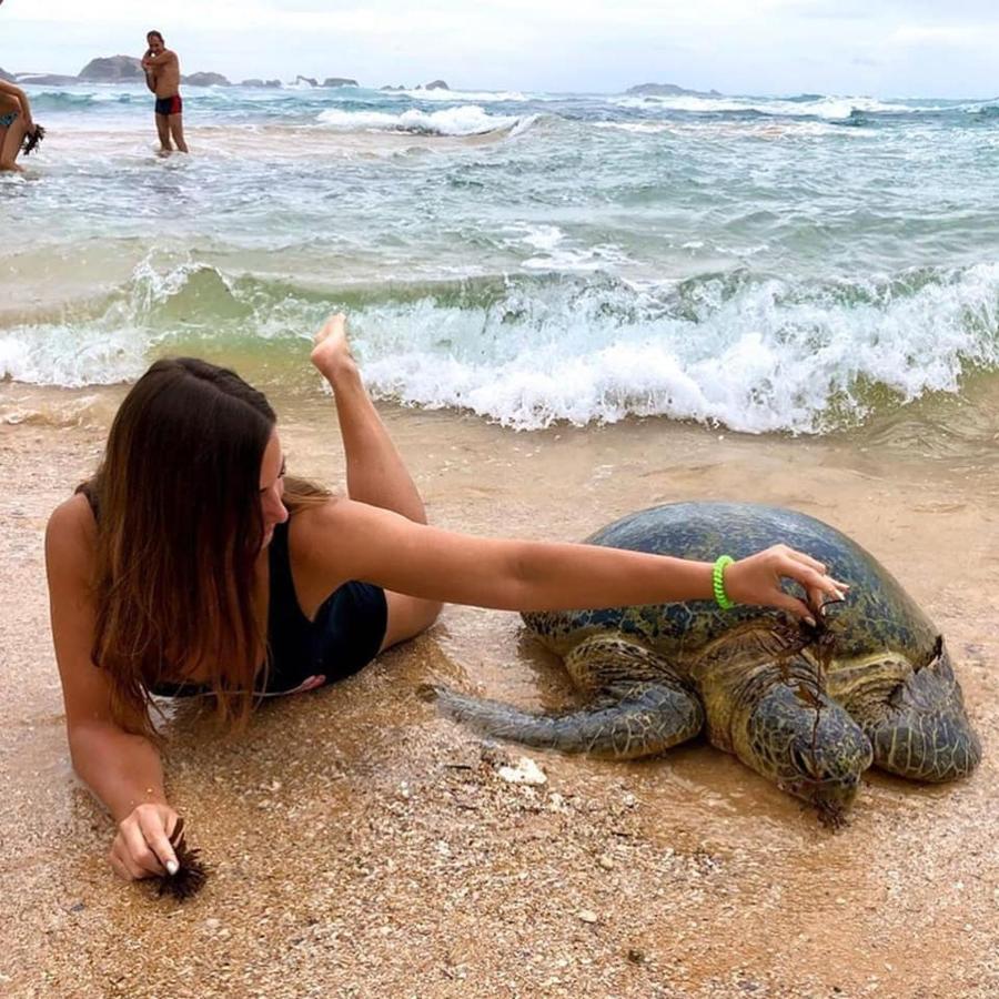 New Sea Lion Guest House Hikkaduwa Esterno foto